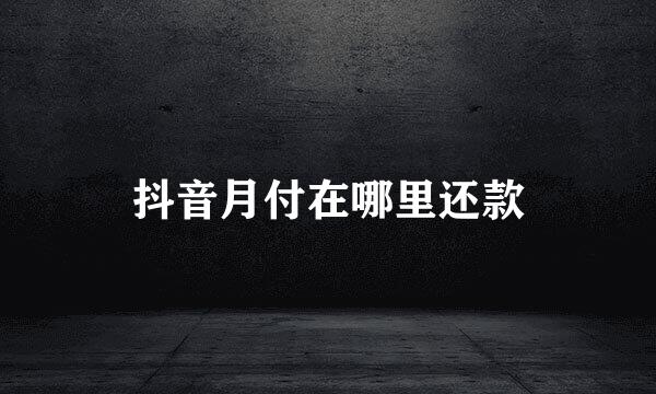 抖音月付在哪里还款