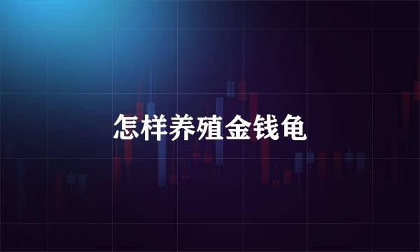 怎样养殖金钱龟