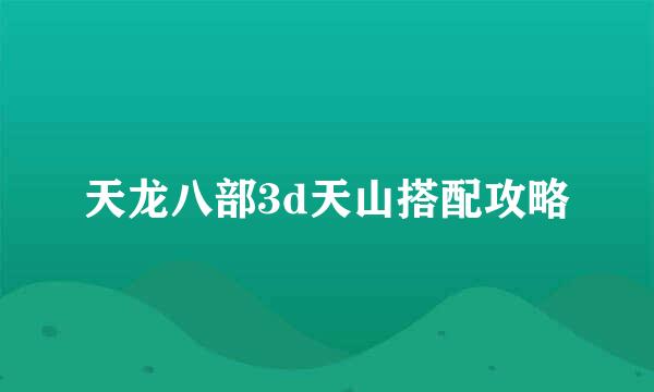 天龙八部3d天山搭配攻略