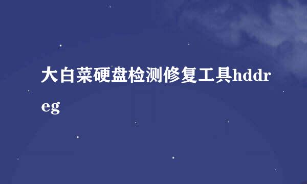 大白菜硬盘检测修复工具hddreg