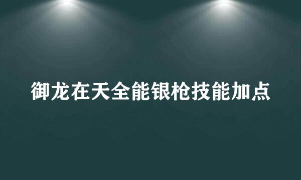 御龙在天全能银枪技能加点