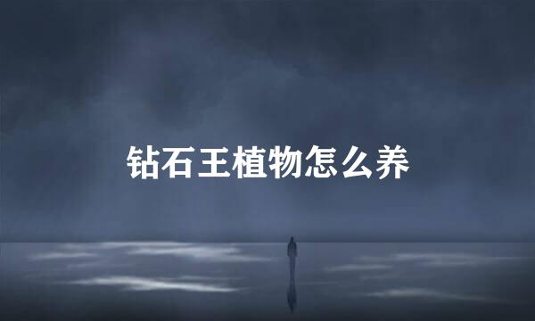 钻石王植物怎么养