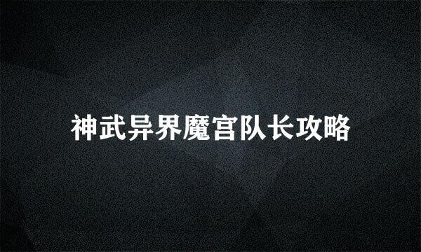 神武异界魔宫队长攻略