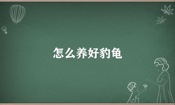 怎么养好豹龟