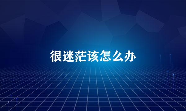 很迷茫该怎么办