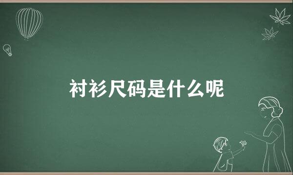 衬衫尺码是什么呢