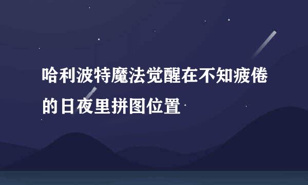 哈利波特魔法觉醒在不知疲倦的日夜里拼图位置