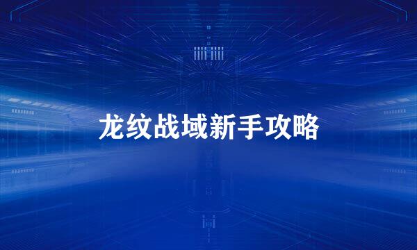 龙纹战域新手攻略