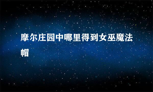 摩尔庄园中哪里得到女巫魔法帽
