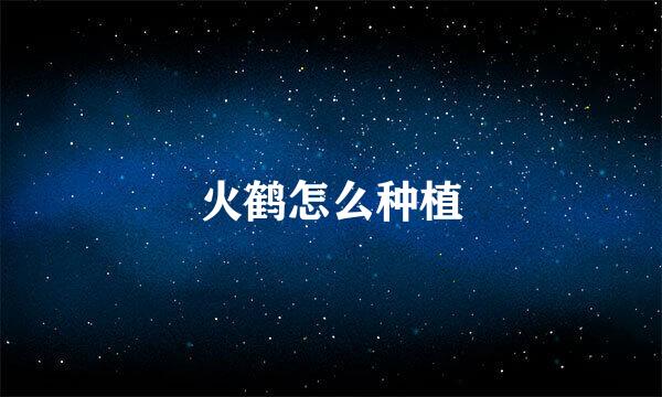 火鹤怎么种植
