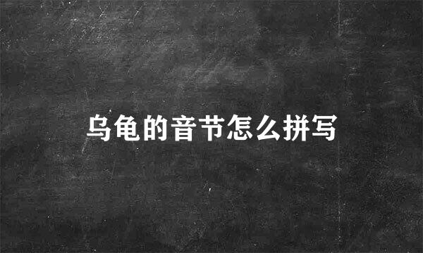乌龟的音节怎么拼写