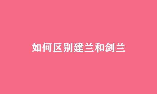 如何区别建兰和剑兰