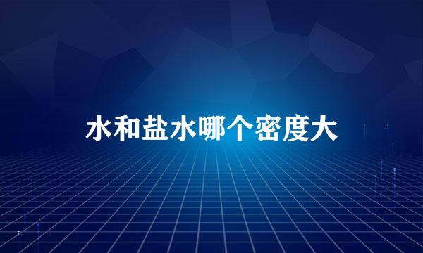 水和盐水哪个密度大