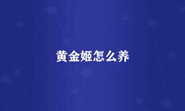 黄金姬怎么养
