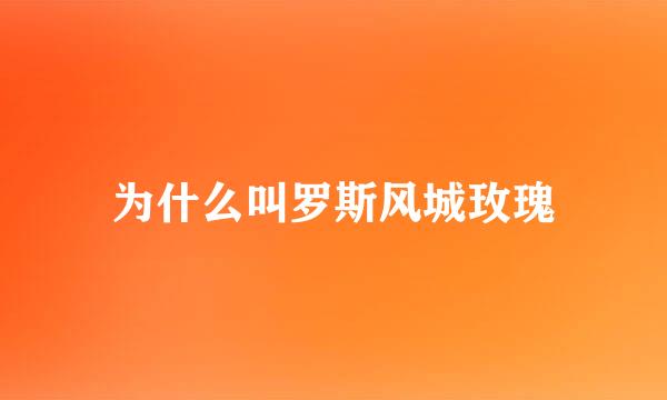 为什么叫罗斯风城玫瑰