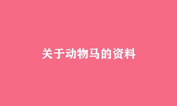 关于动物马的资料