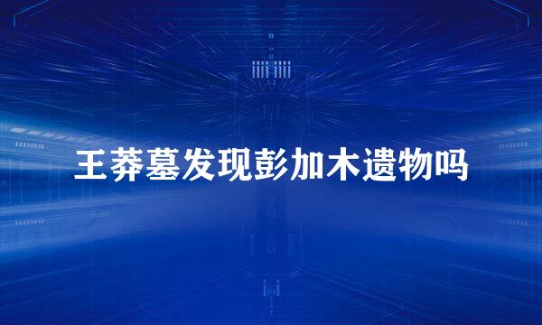 王莽墓发现彭加木遗物吗