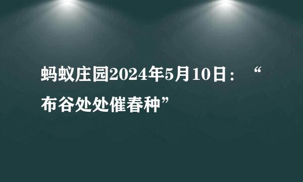 蚂蚁庄园2024年5月10日：“布谷处处催春种”