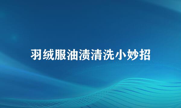 羽绒服油渍清洗小妙招