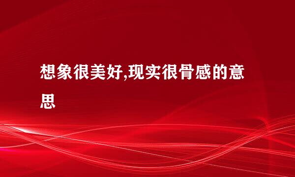 想象很美好,现实很骨感的意思