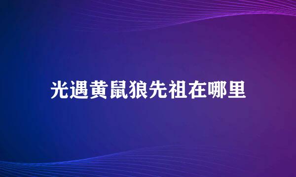 光遇黄鼠狼先祖在哪里