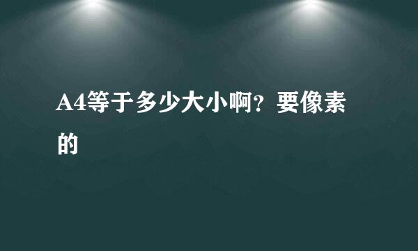 A4等于多少大小啊？要像素的