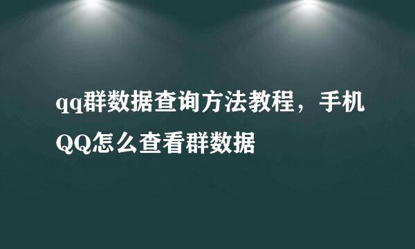 qq群数据查询方法教程，手机QQ怎么查看群数据