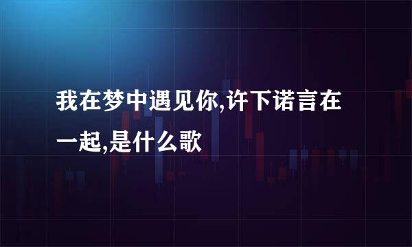 我在梦中遇见你,许下诺言在一起,是什么歌