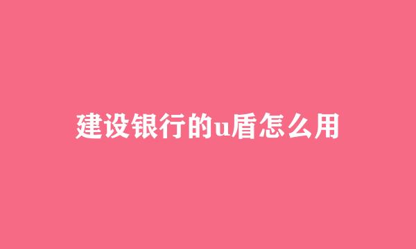 建设银行的u盾怎么用