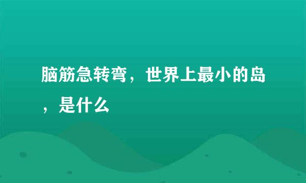脑筋急转弯，世界上最小的岛，是什么