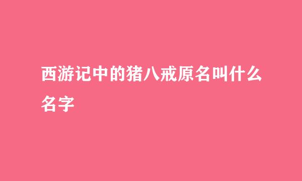 西游记中的猪八戒原名叫什么名字
