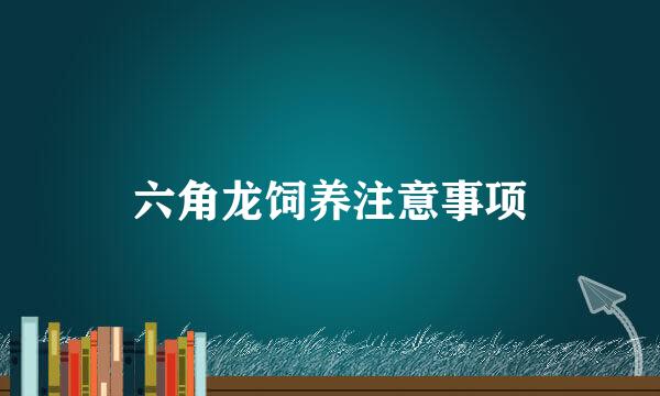 六角龙饲养注意事项