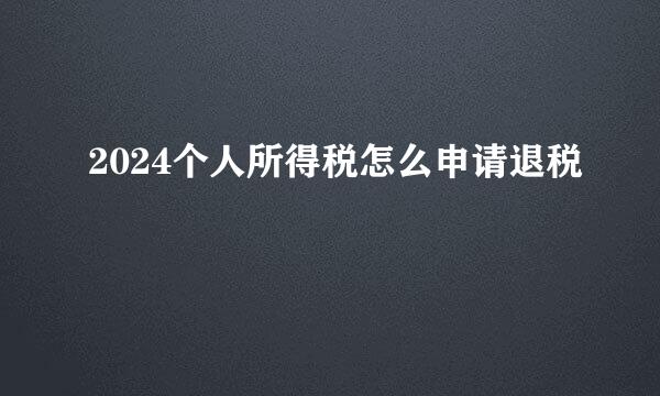 2024个人所得税怎么申请退税