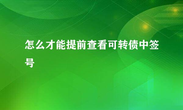 怎么才能提前查看可转债中签号
