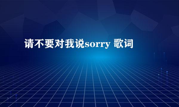 请不要对我说sorry 歌词