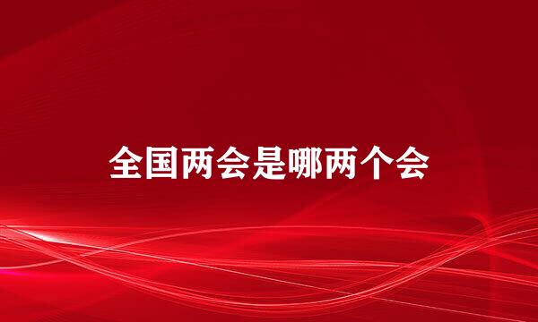 全国两会是哪两个会