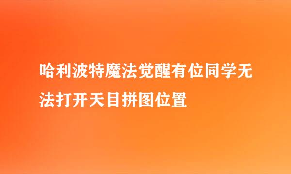 哈利波特魔法觉醒有位同学无法打开天目拼图位置