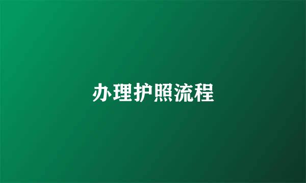 办理护照流程