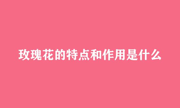 玫瑰花的特点和作用是什么