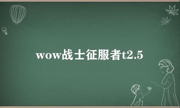 wow战士征服者t2.5