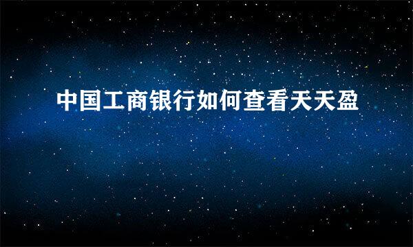 中国工商银行如何查看天天盈
