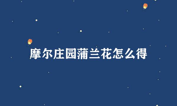 摩尔庄园蒲兰花怎么得