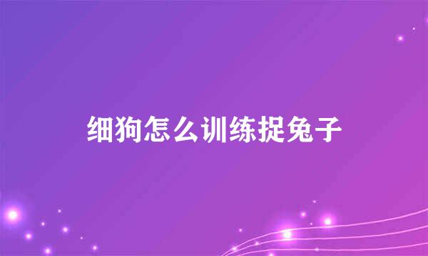 细狗怎么训练捉兔子