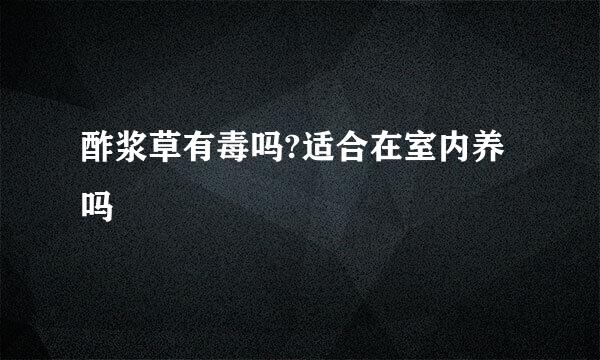 酢浆草有毒吗?适合在室内养吗