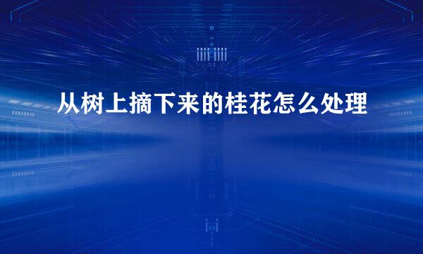 从树上摘下来的桂花怎么处理
