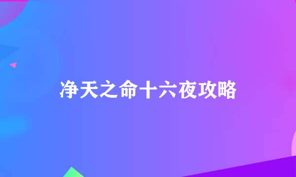 净天之命十六夜攻略