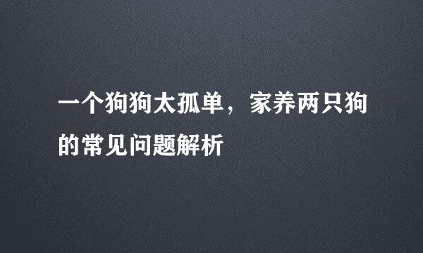 一个狗狗太孤单，家养两只狗的常见问题解析
