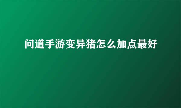 问道手游变异猪怎么加点最好