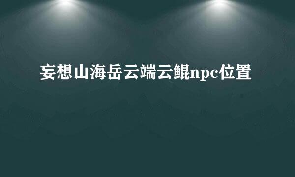 妄想山海岳云端云鲲npc位置