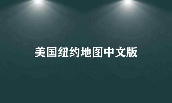 美国纽约地图中文版